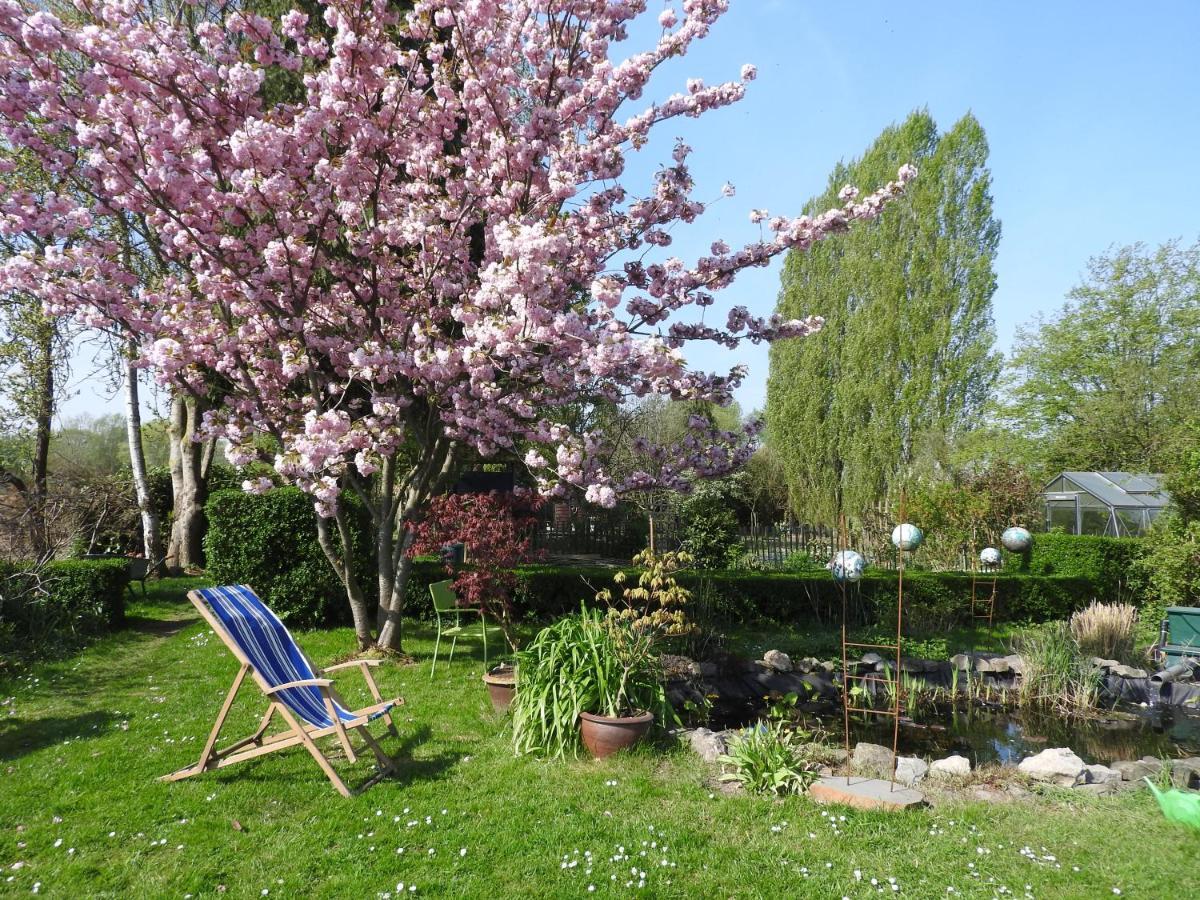 Le gîte de la Reine de Hongrie Soignies Extérieur photo